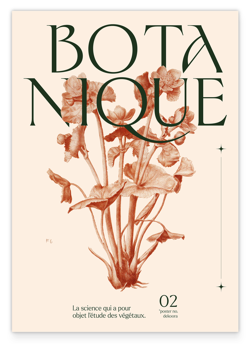 Botanique - Das Studium der Pflanzen