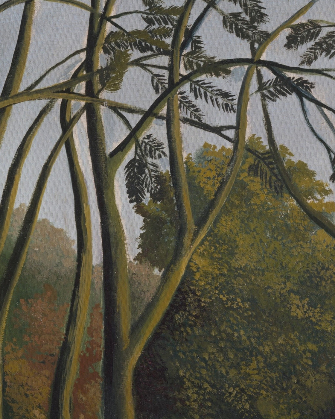 canvas