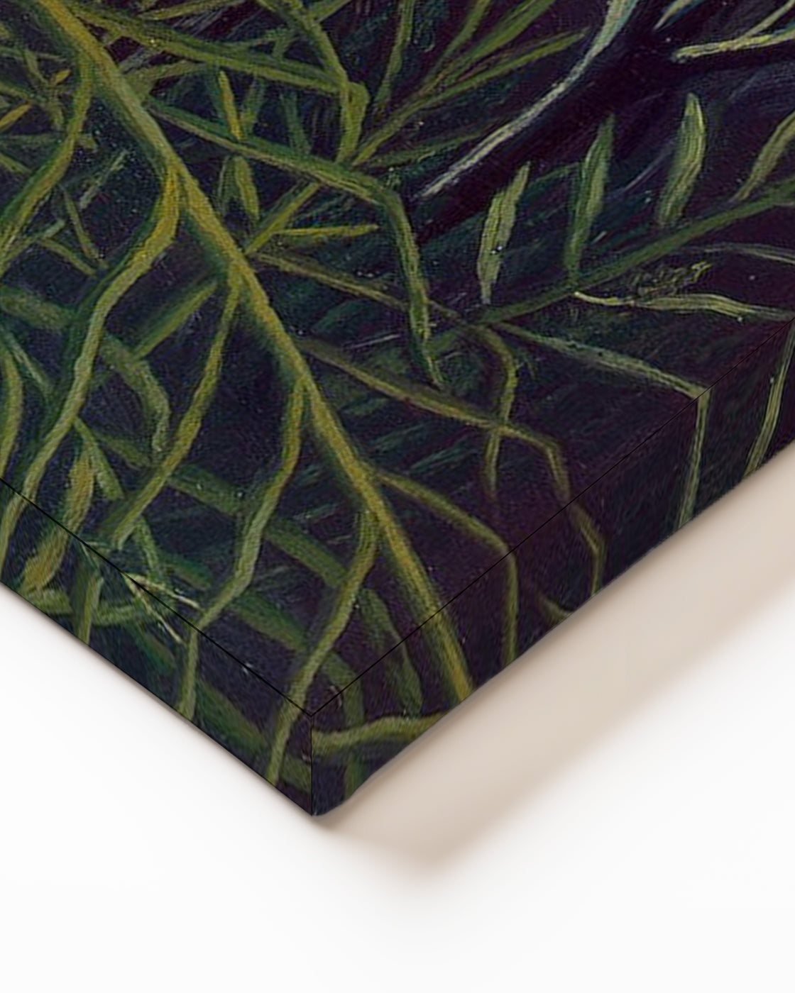 stretched-canvas
