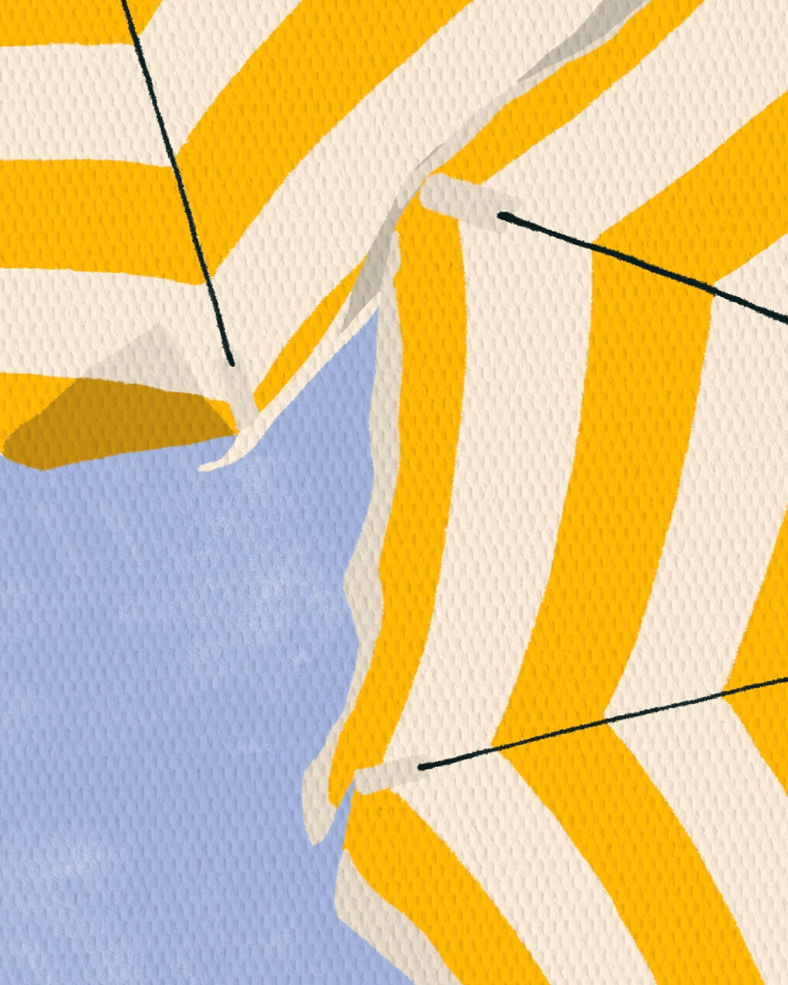 canvas