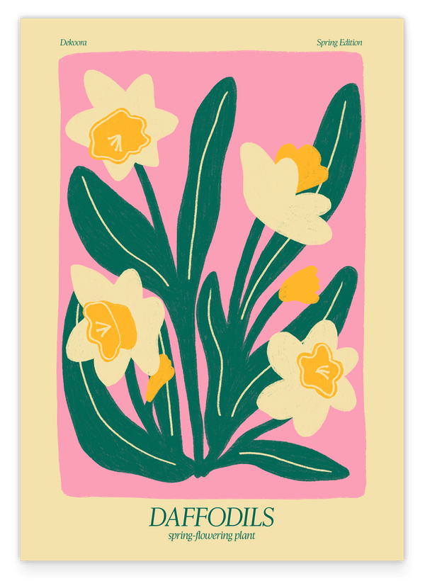 Abstract Daffodils - Narzissen in Gelb und Rosa