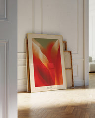 After Hover: Thriving Tulip: Tulpen Festival Niederlande No. 1