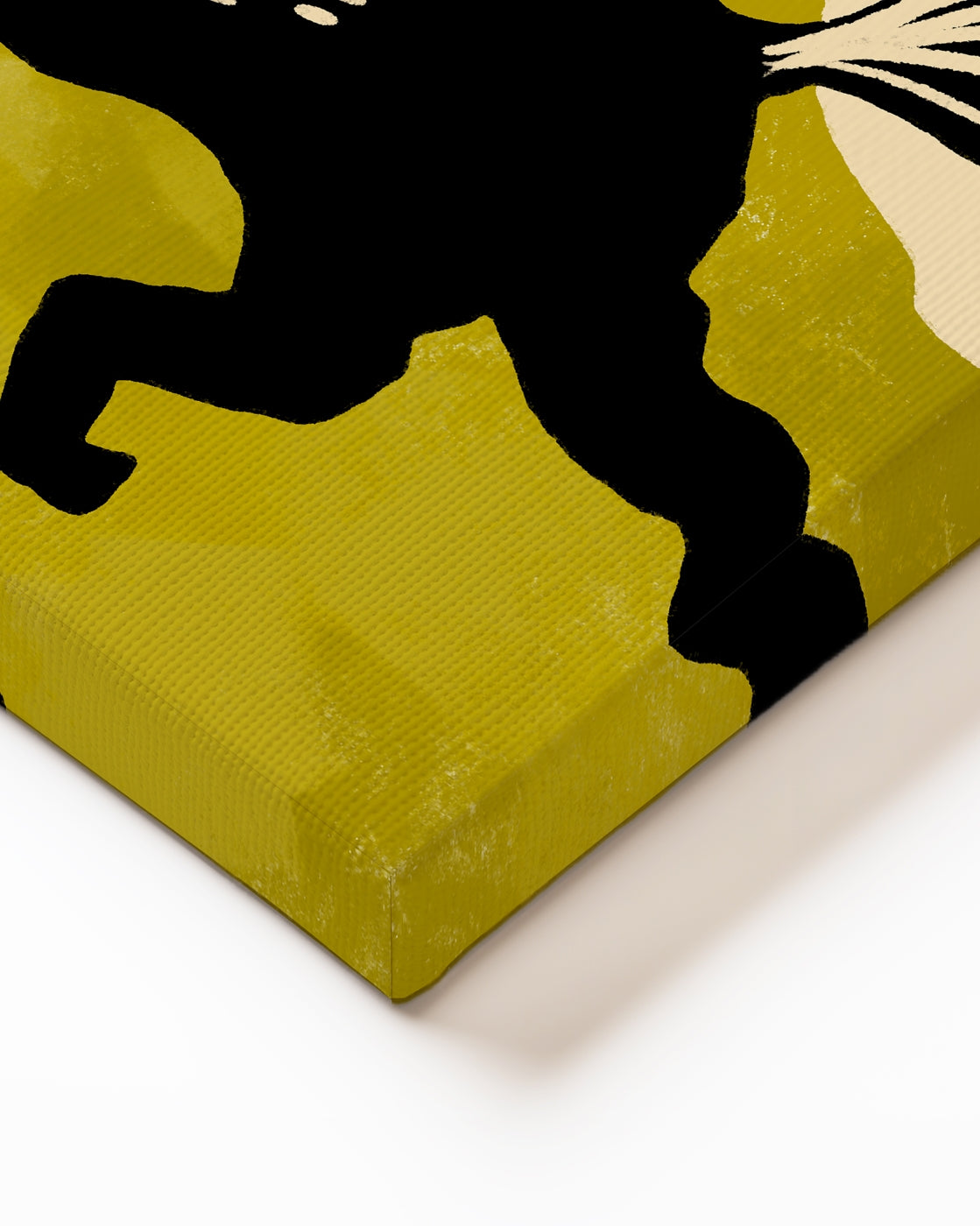 stretched-canvas