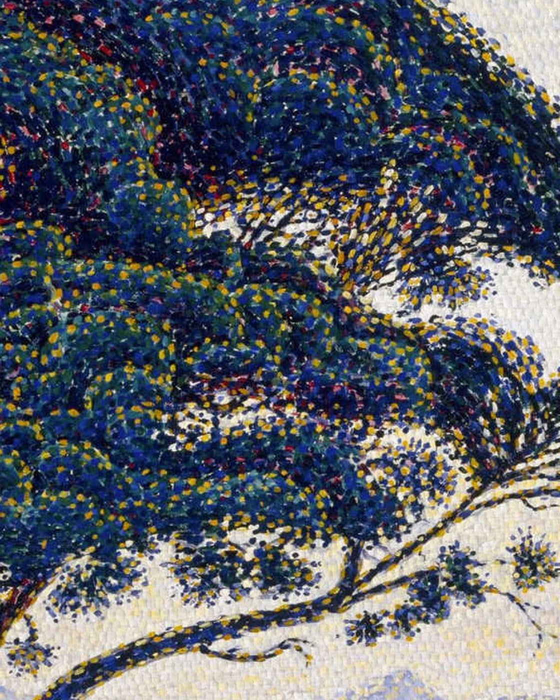 canvas