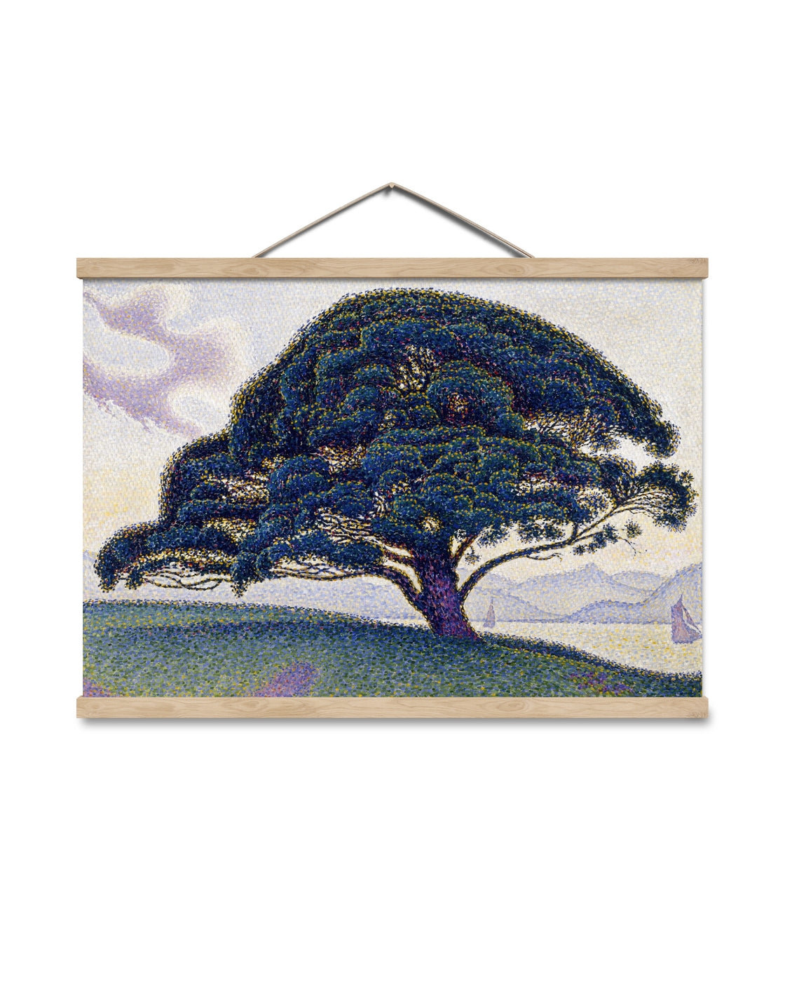 canvas