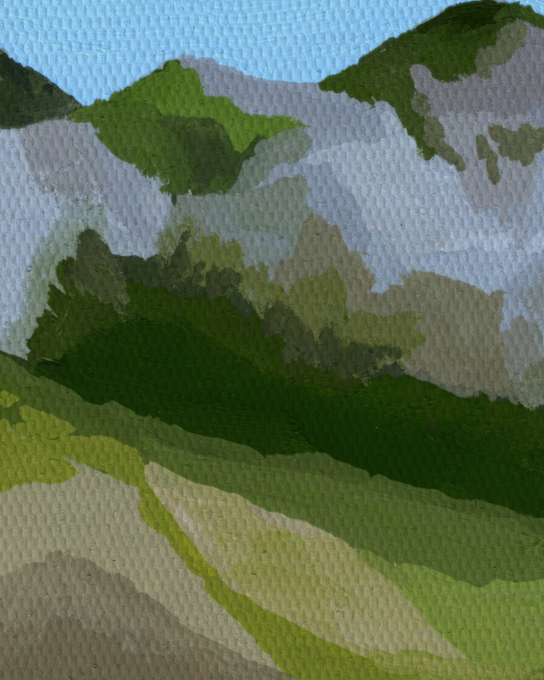 canvas