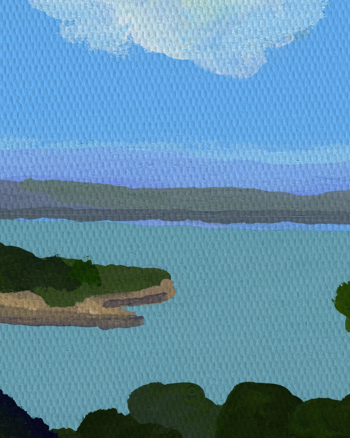 canvas