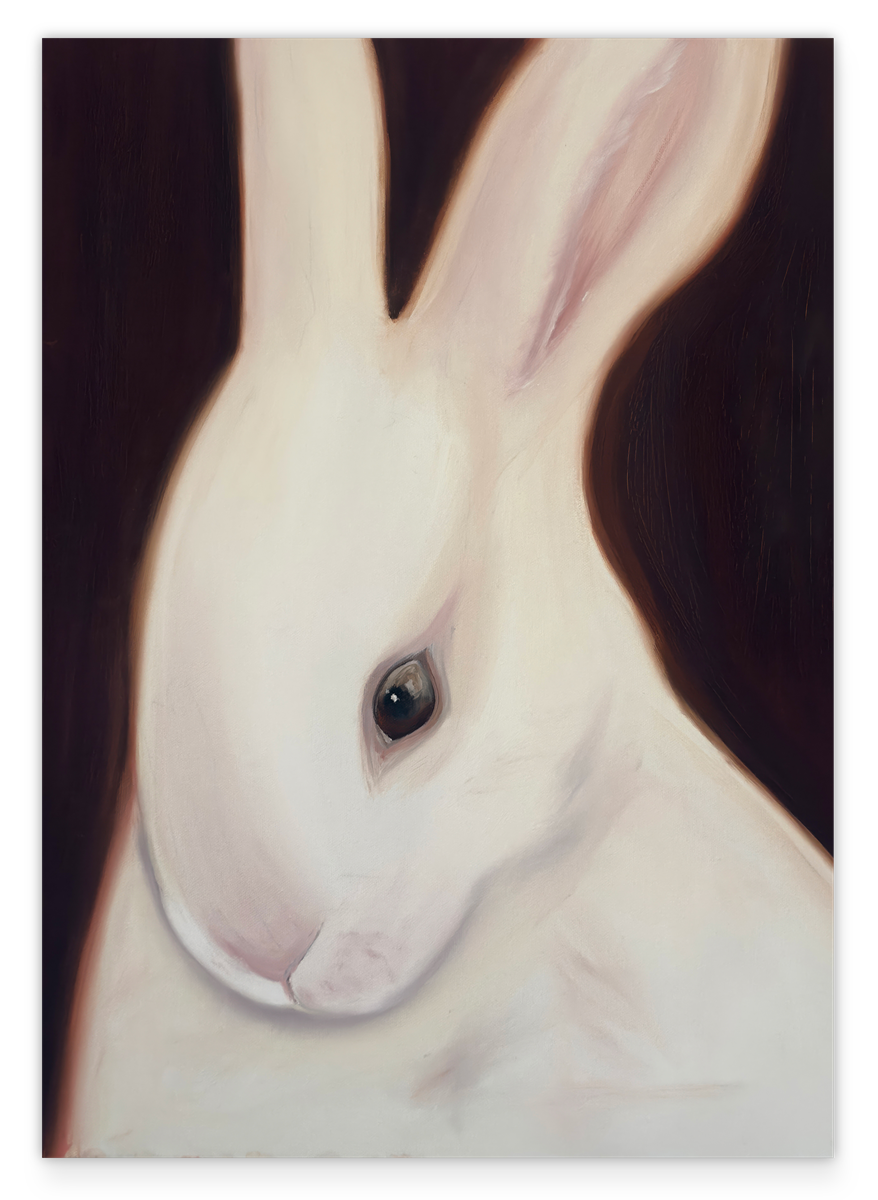 Untxi – Weißer Hase