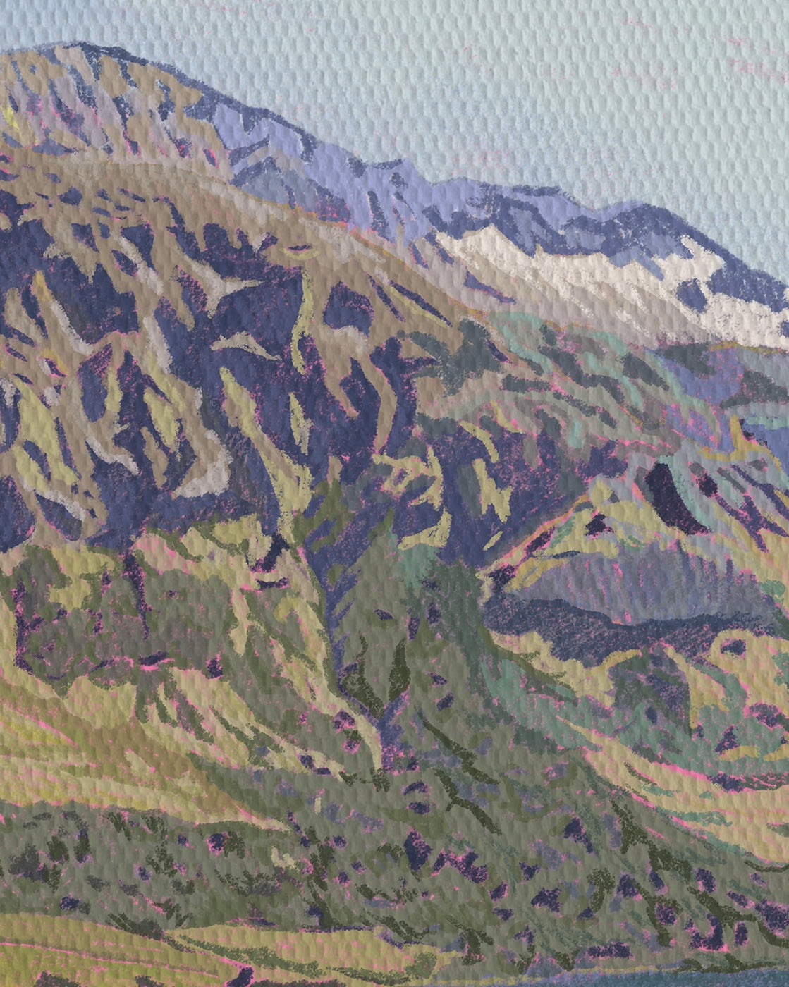canvas
