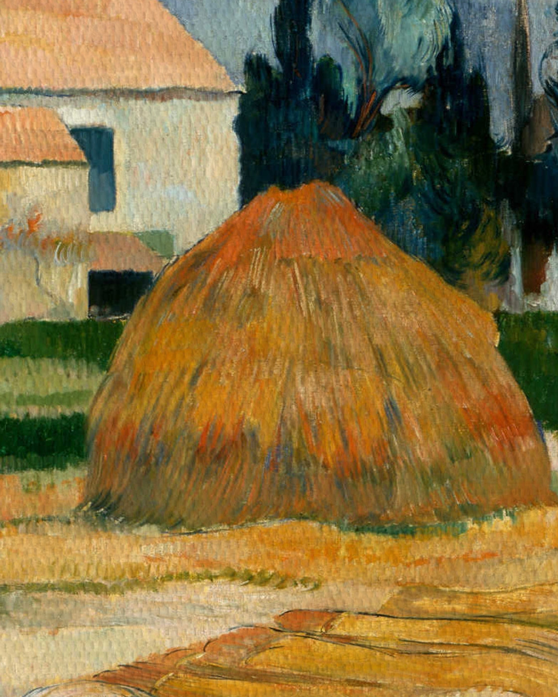 canvas