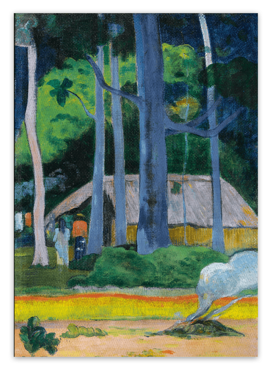 canvas