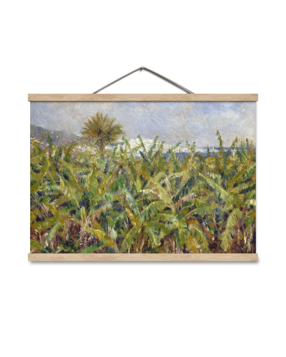 canvas
