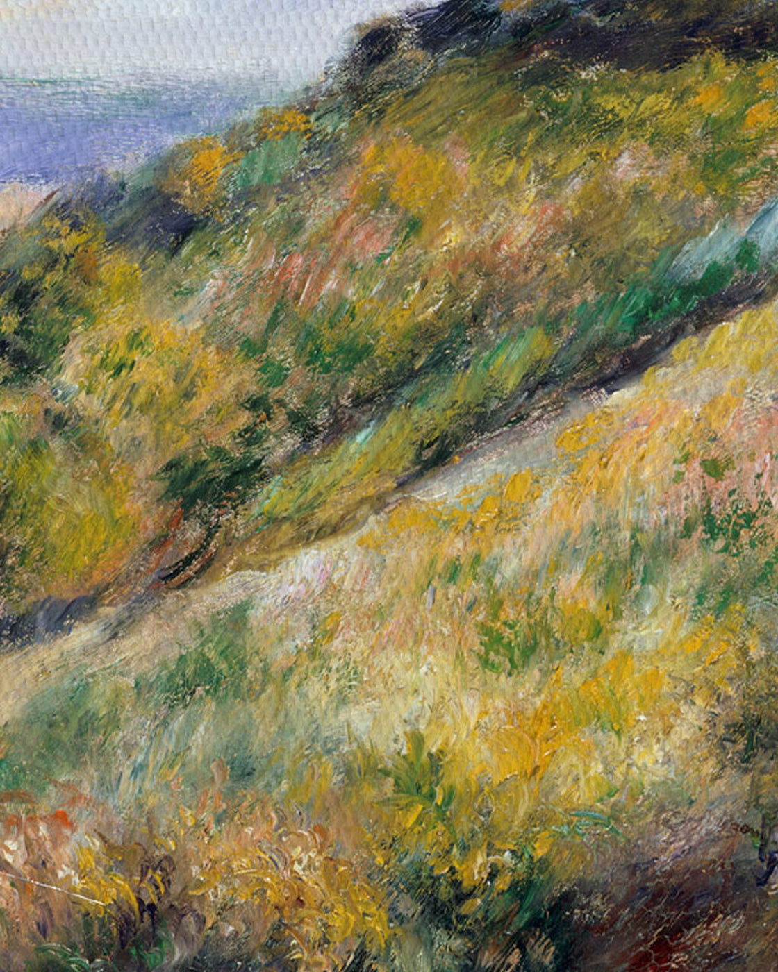 canvas
