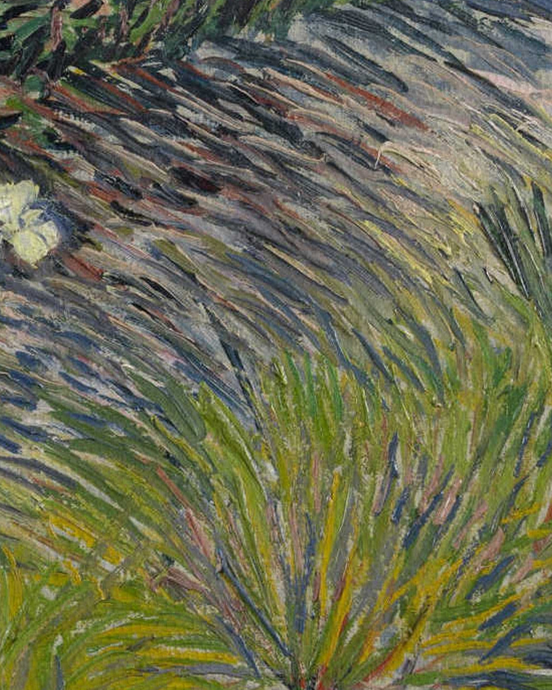 canvas