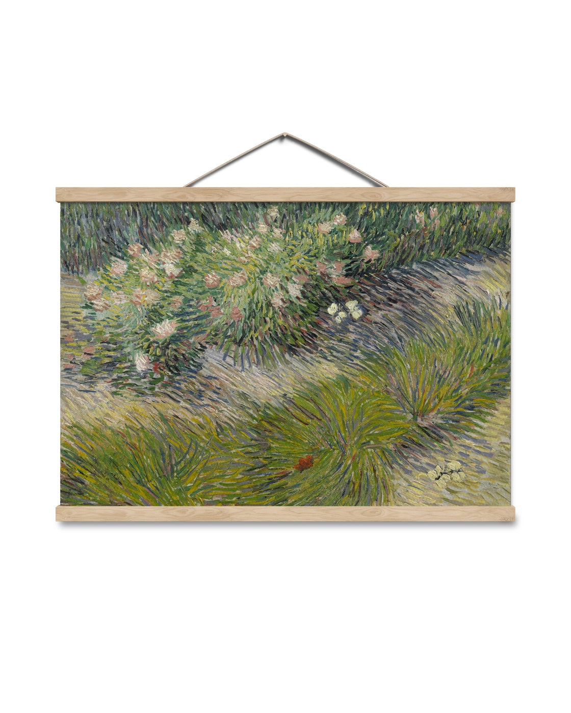 canvas