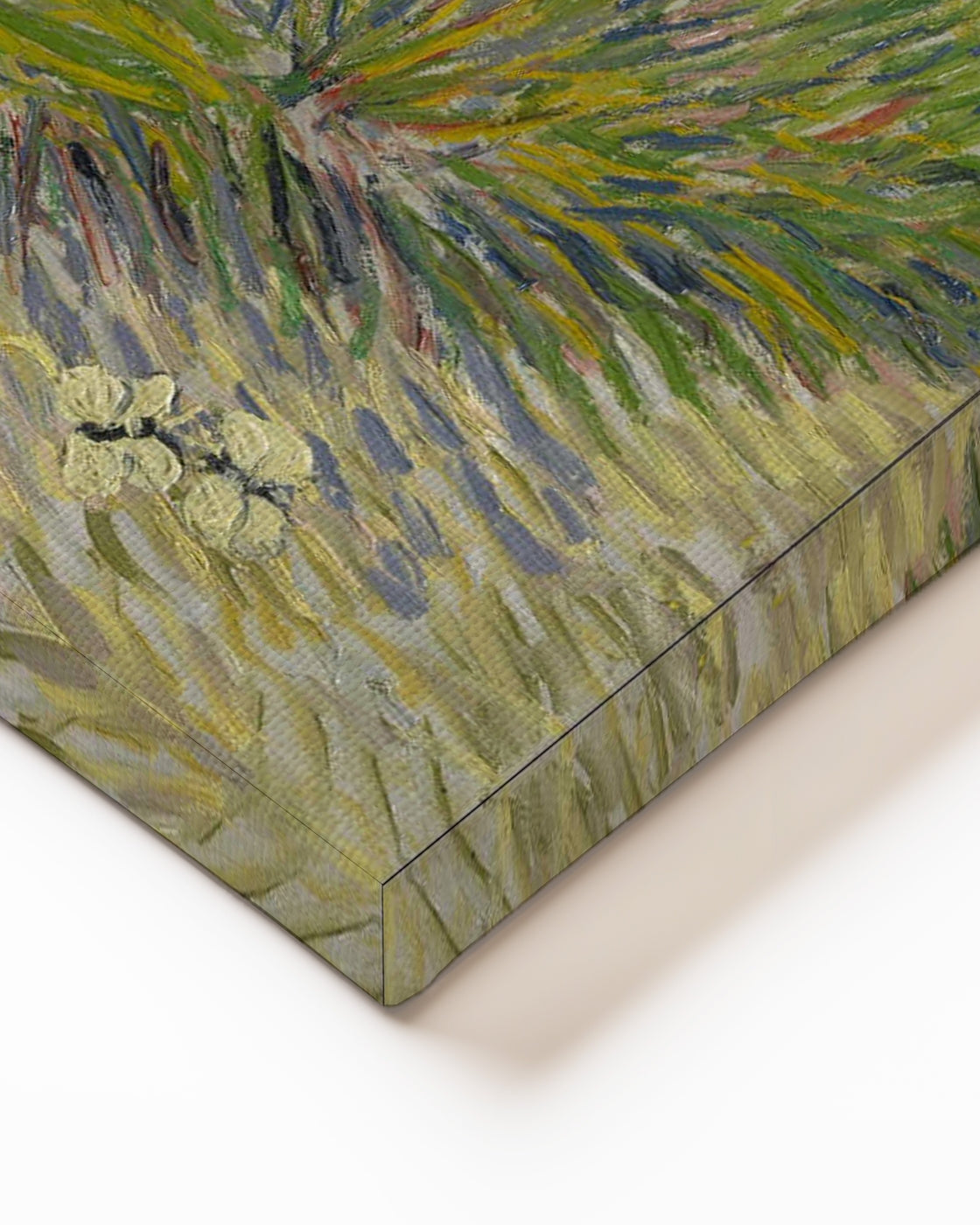 stretched-canvas