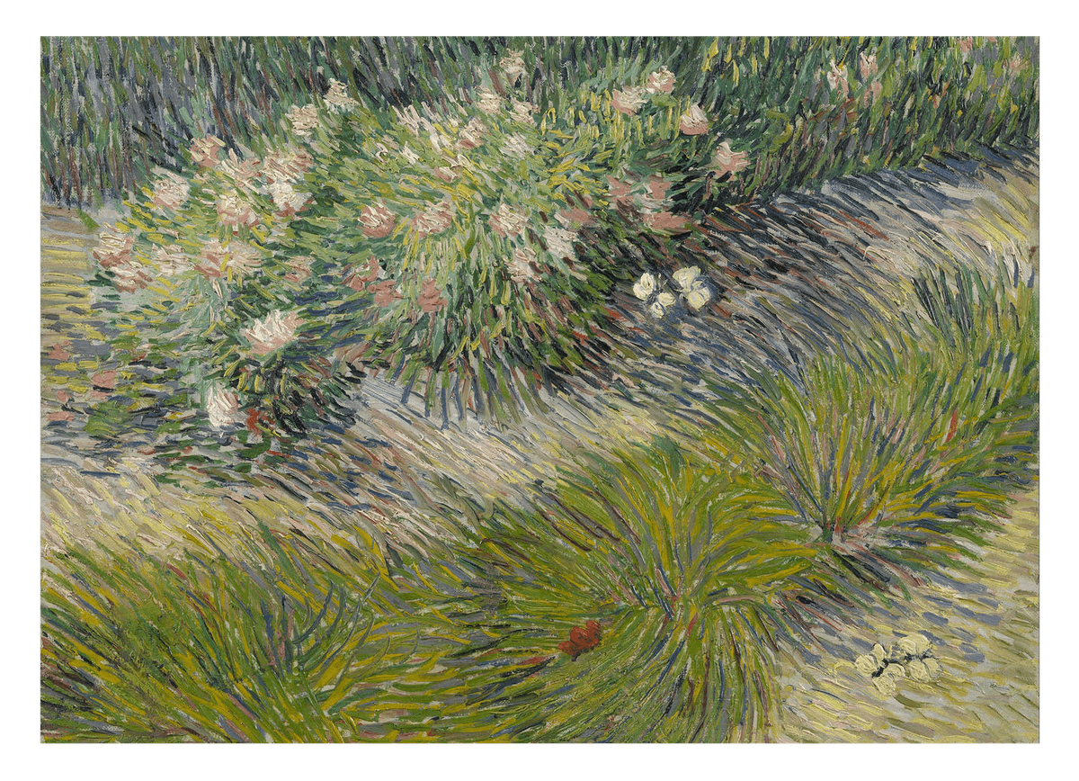 Vincent van Gogh - Gras und Schmetterlinge
