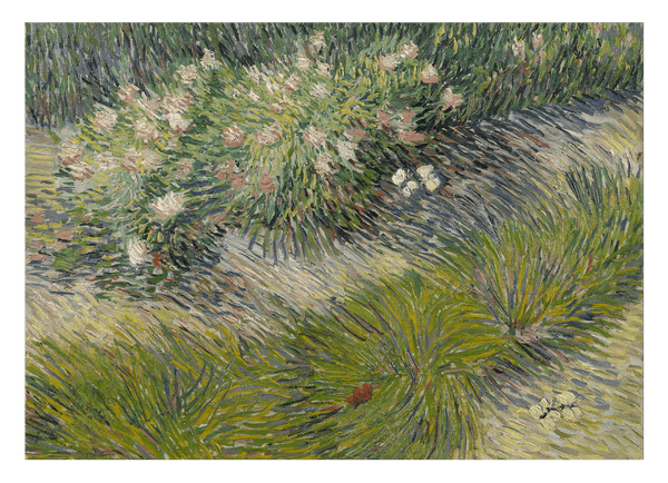 Vincent van Gogh - Gras und Schmetterlinge