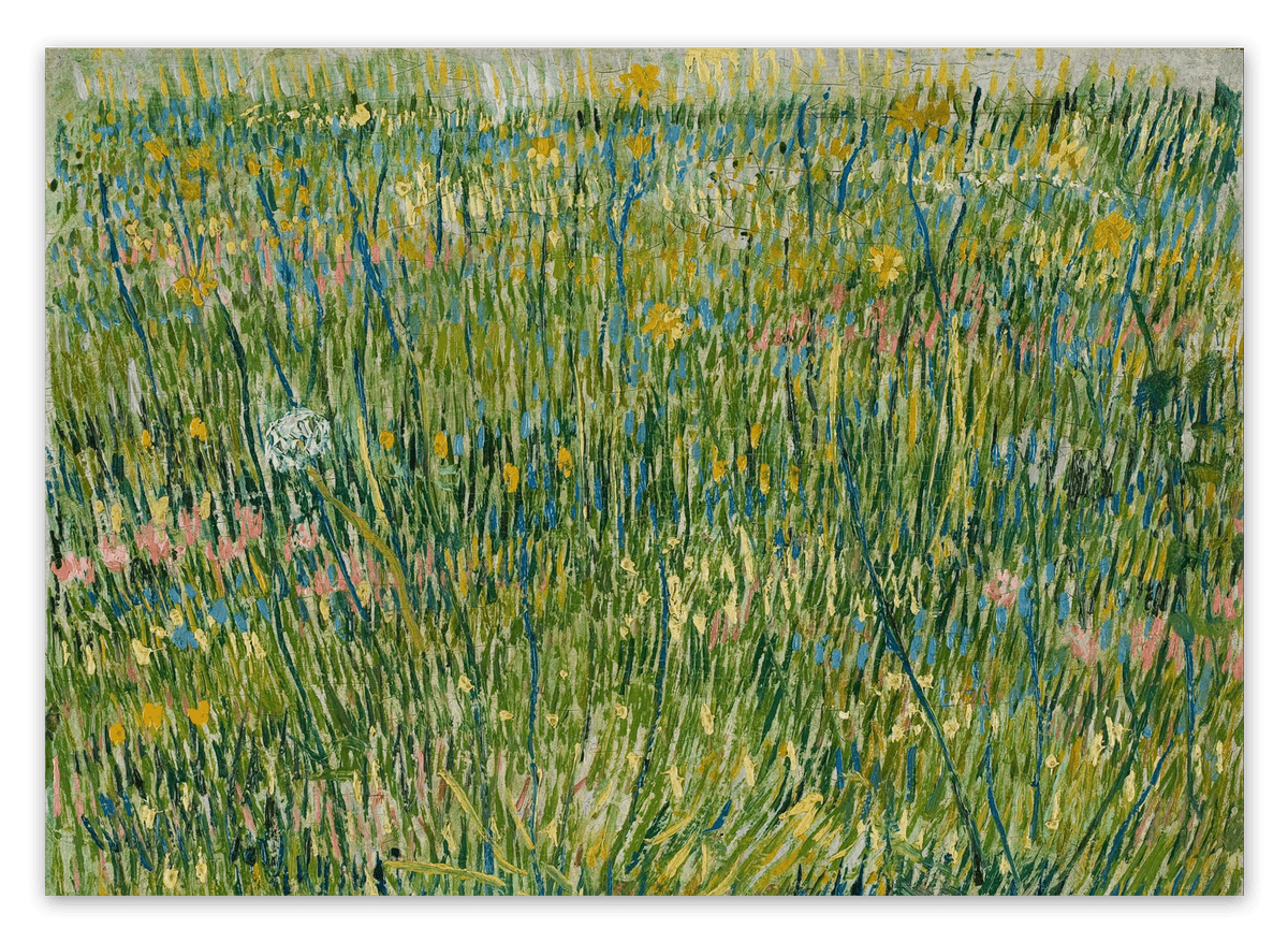canvas