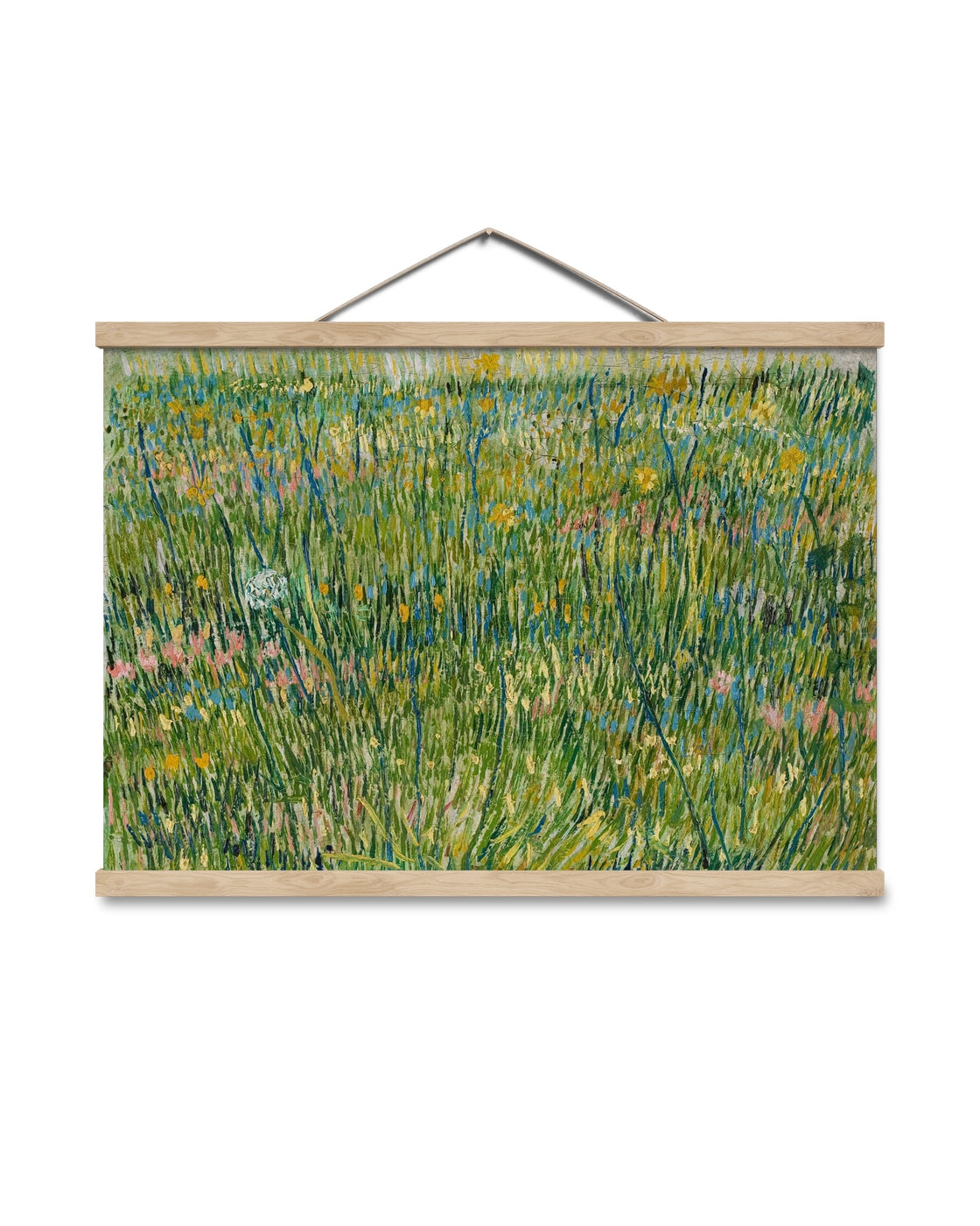 canvas