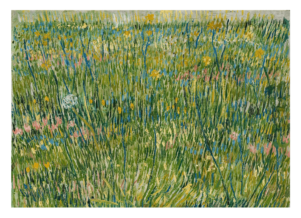 Vincent van Gogh - Gras-Stelle