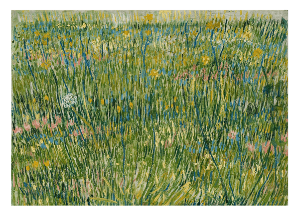 Vincent van Gogh - Gras-Stelle