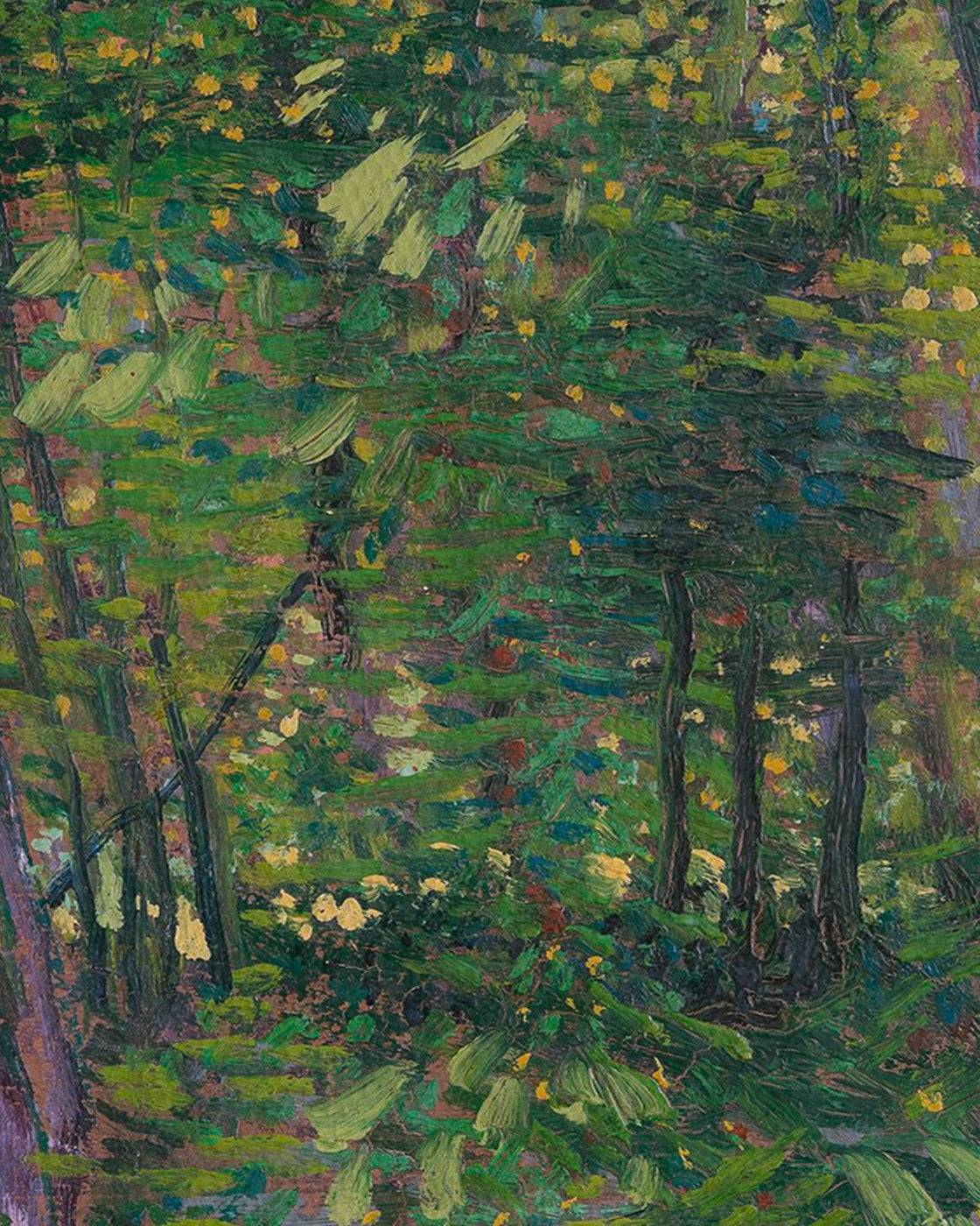 canvas