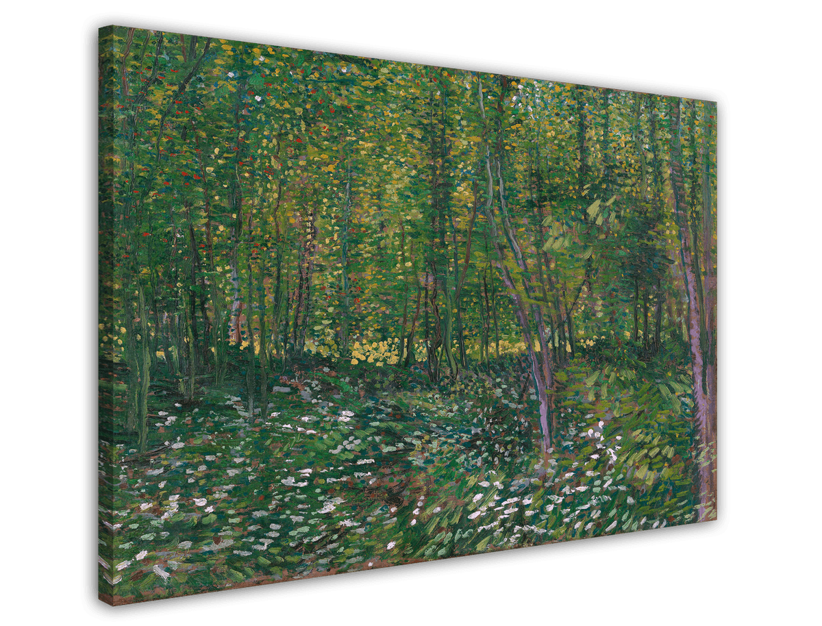 stretched-canvas