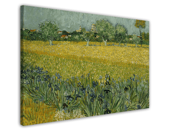 Vincent van Gogh - Feld mit Blumen in der Nähe von Arles