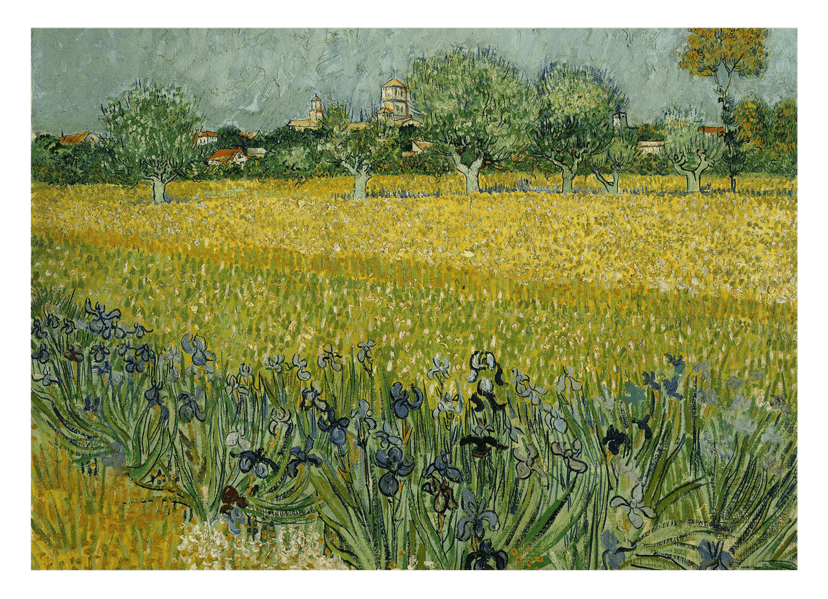 Vincent van Gogh - Feld mit Blumen in der Nähe von Arles