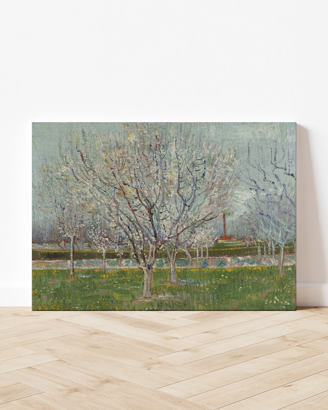 stretched-canvas