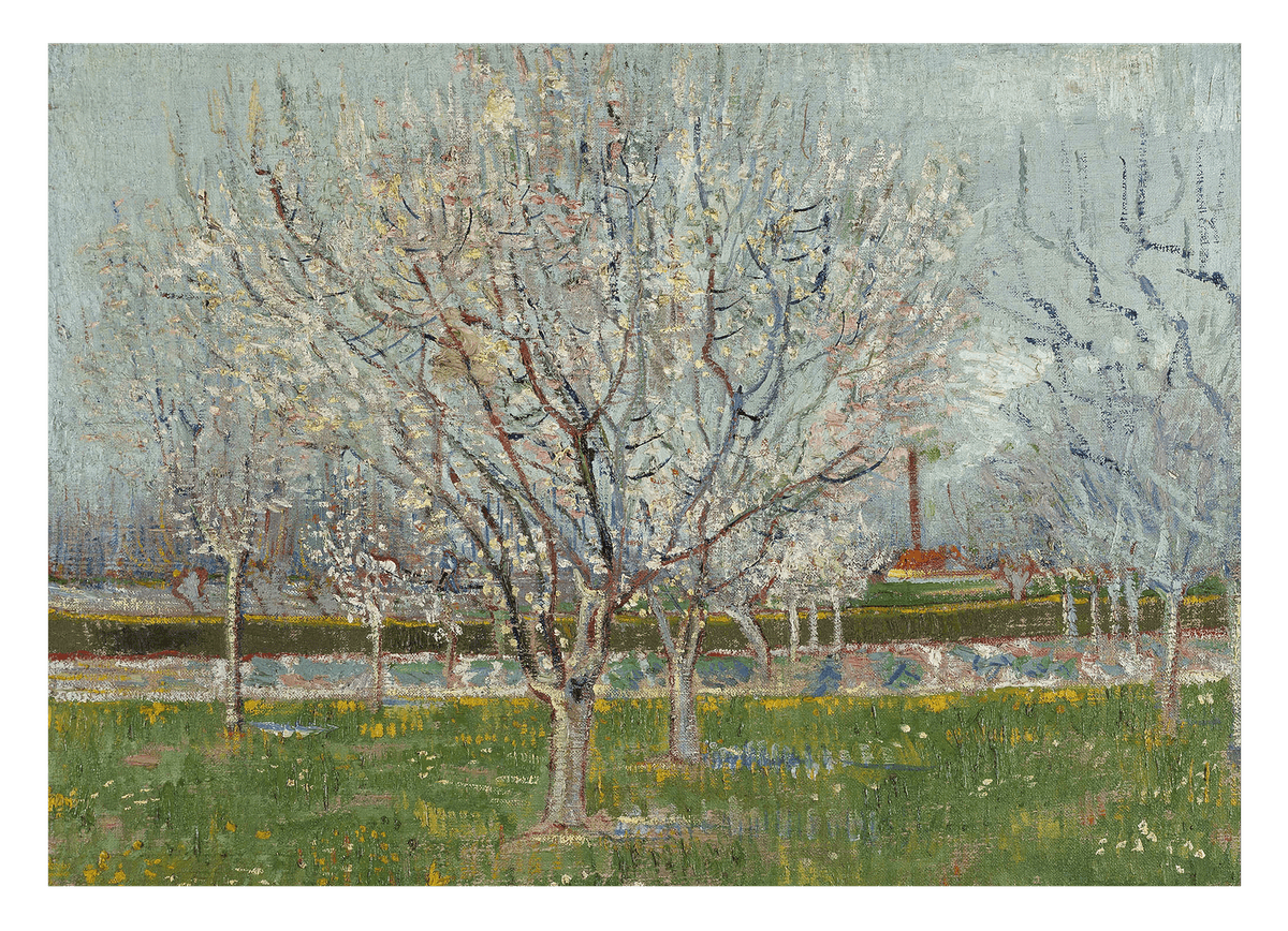 Vincent van Gogh - Blühender Obstgarten Pflaumenbaum