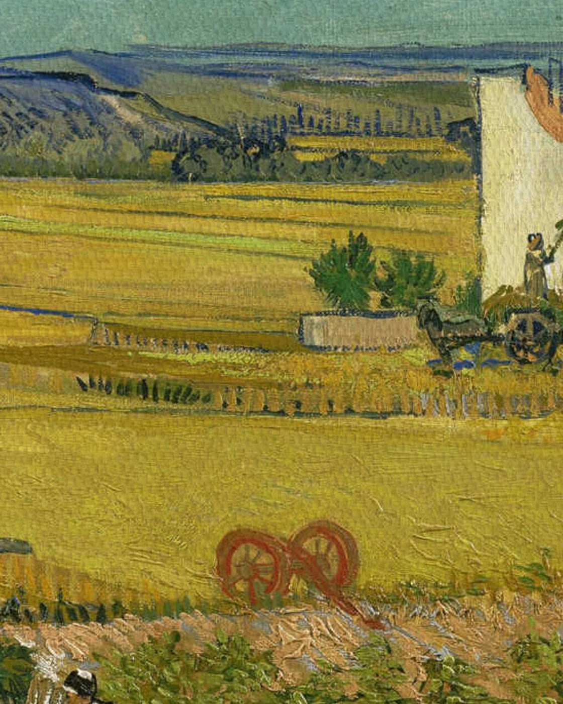canvas