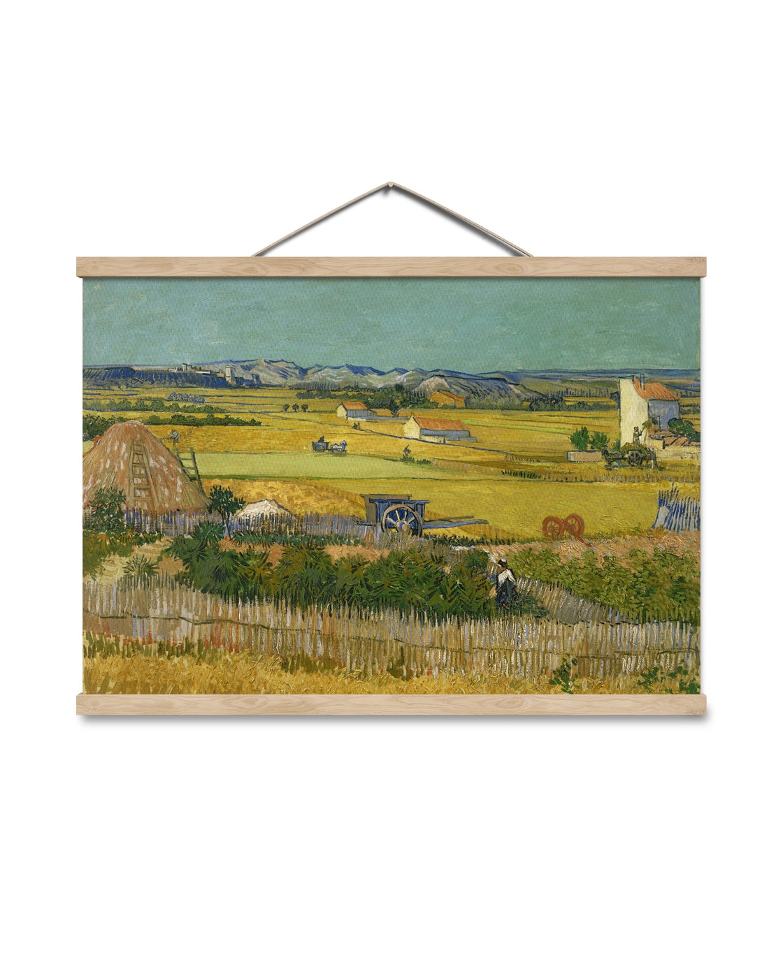 canvas