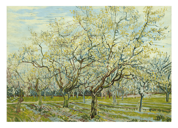 Vincent van Gogh - Der weiße Obstgarten