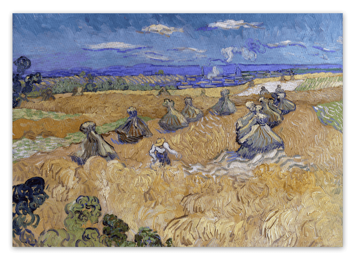 canvas
