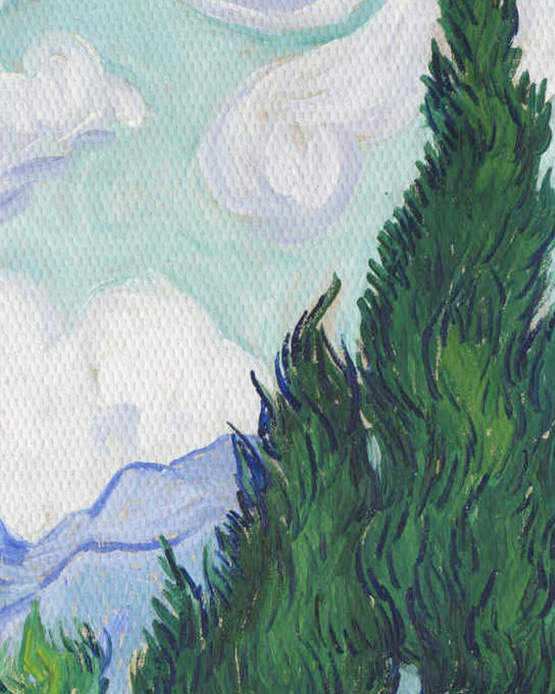canvas