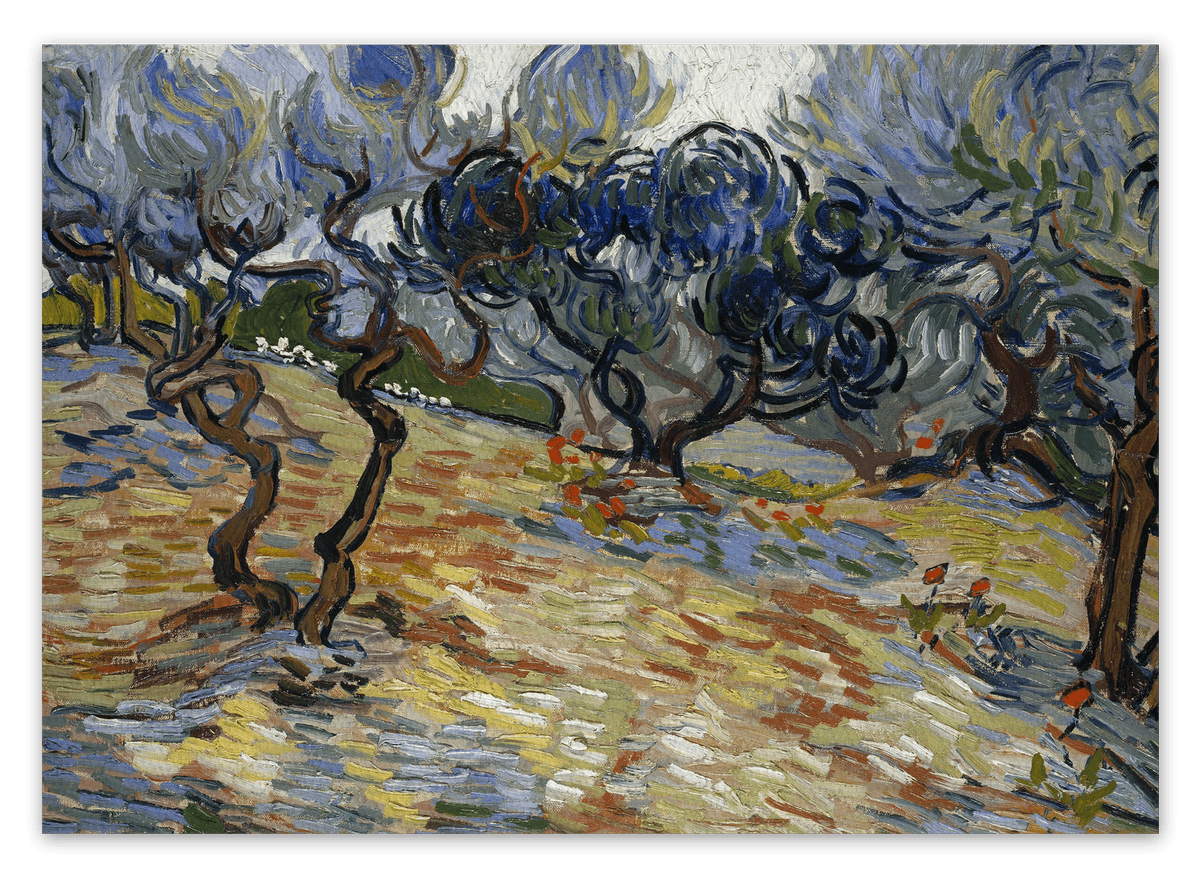 canvas