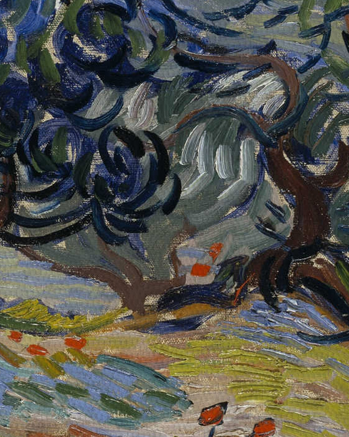 canvas