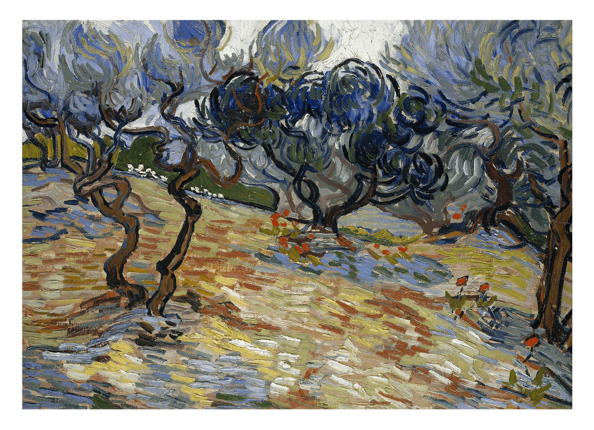 Vincent van Gogh - Oliven-Bäume