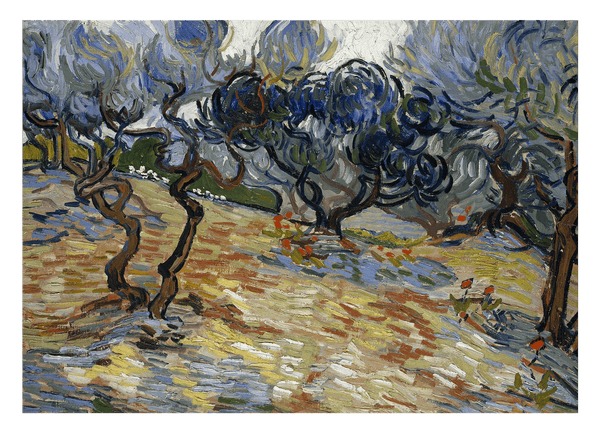 Vincent van Gogh - Oliven-Bäume