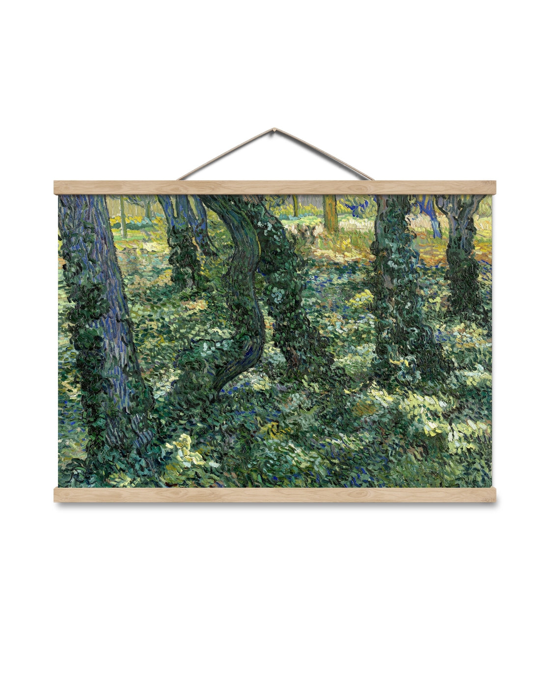 canvas