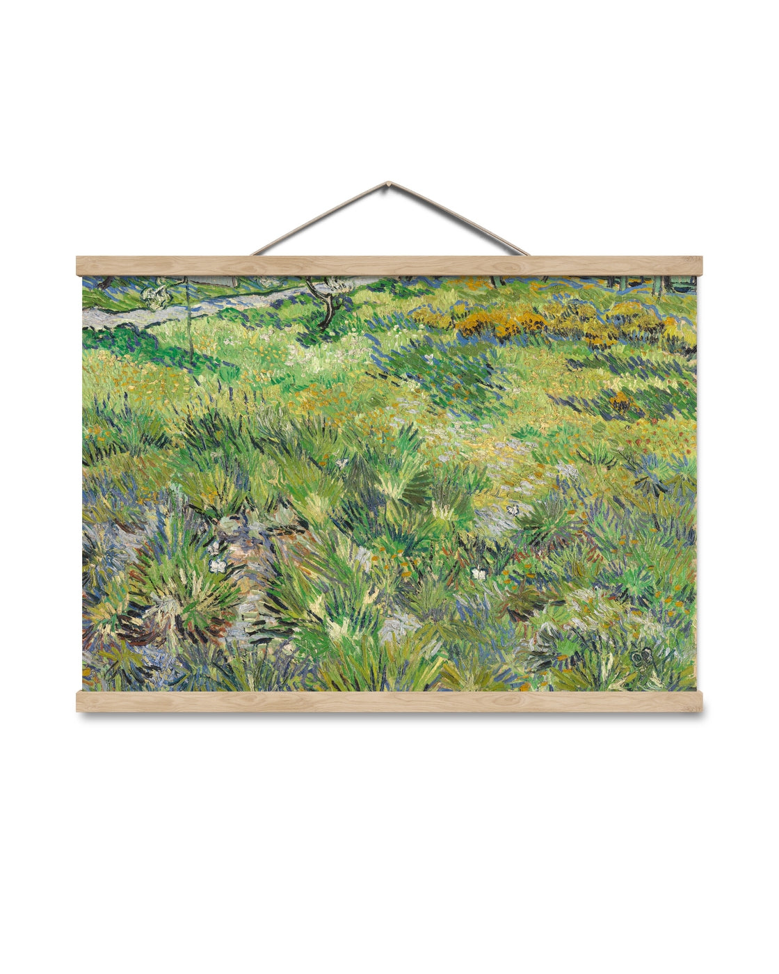 canvas