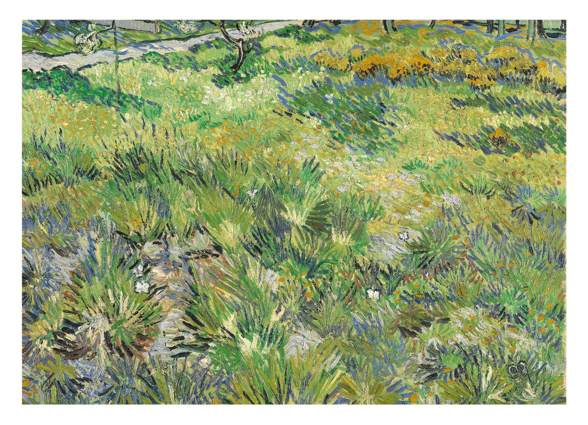 Vincent van Gogh - Hohes Gras mit Schmetterlingen