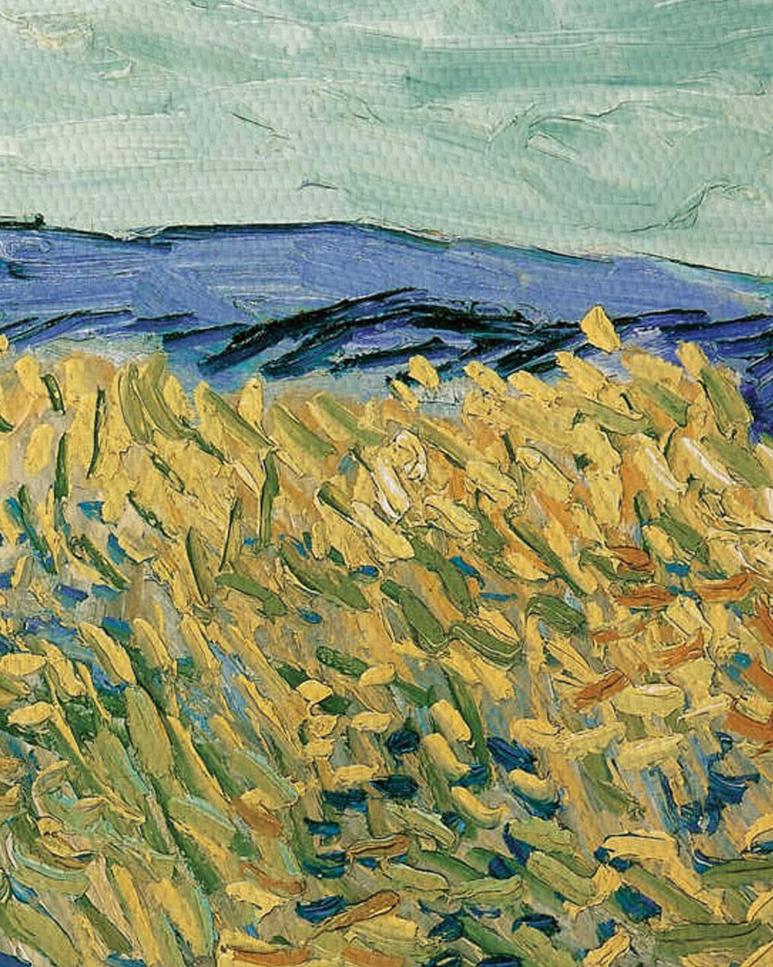 canvas
