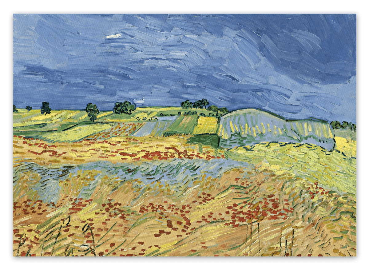 canvas