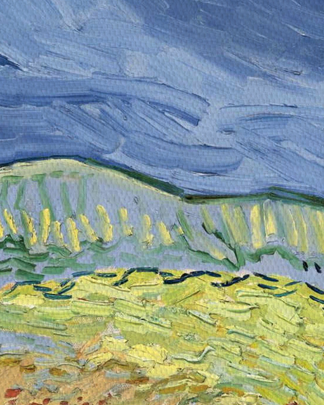 canvas