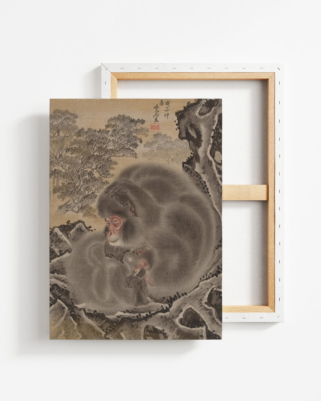 stretched-canvas