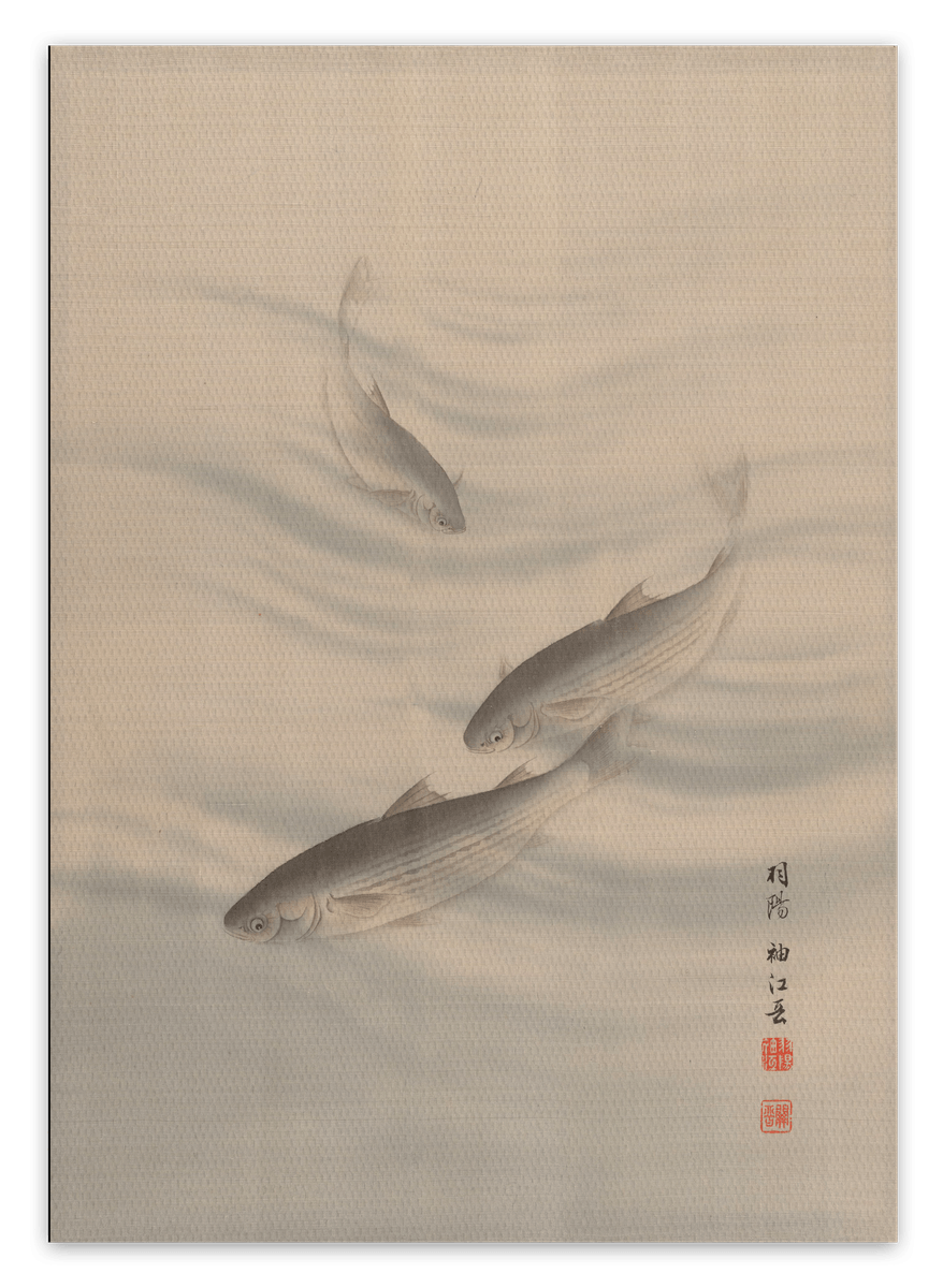 canvas