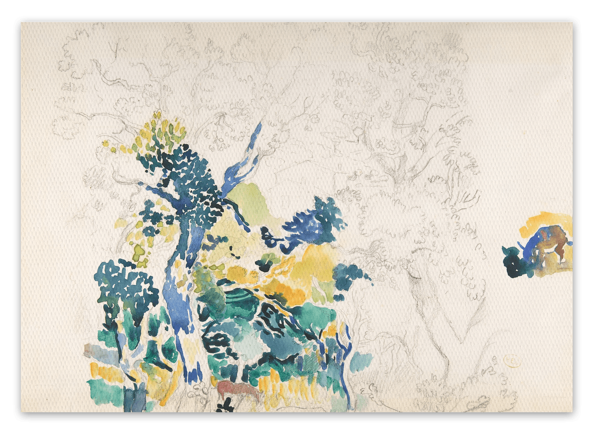 canvas